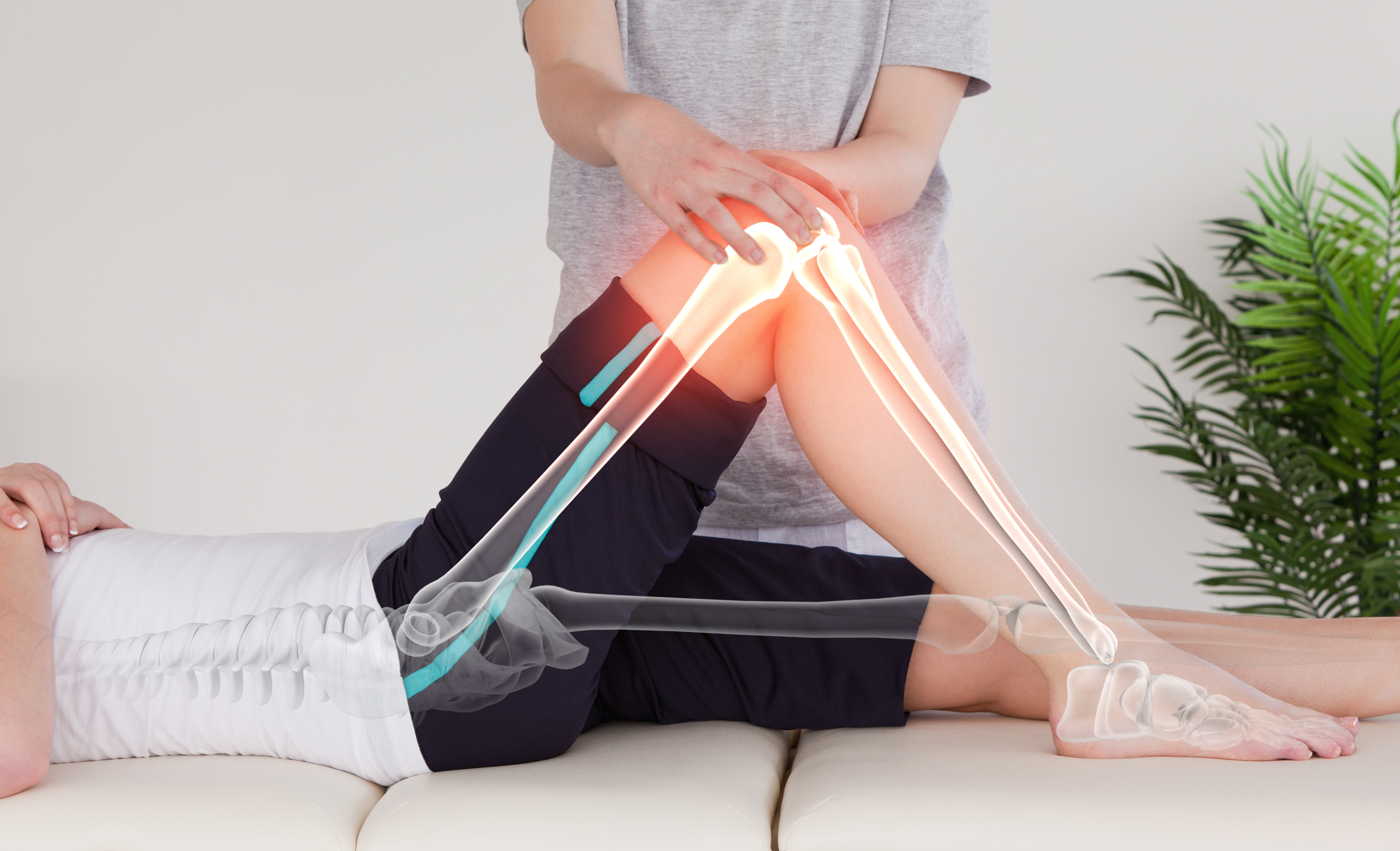 Illuminated leg and spine photo